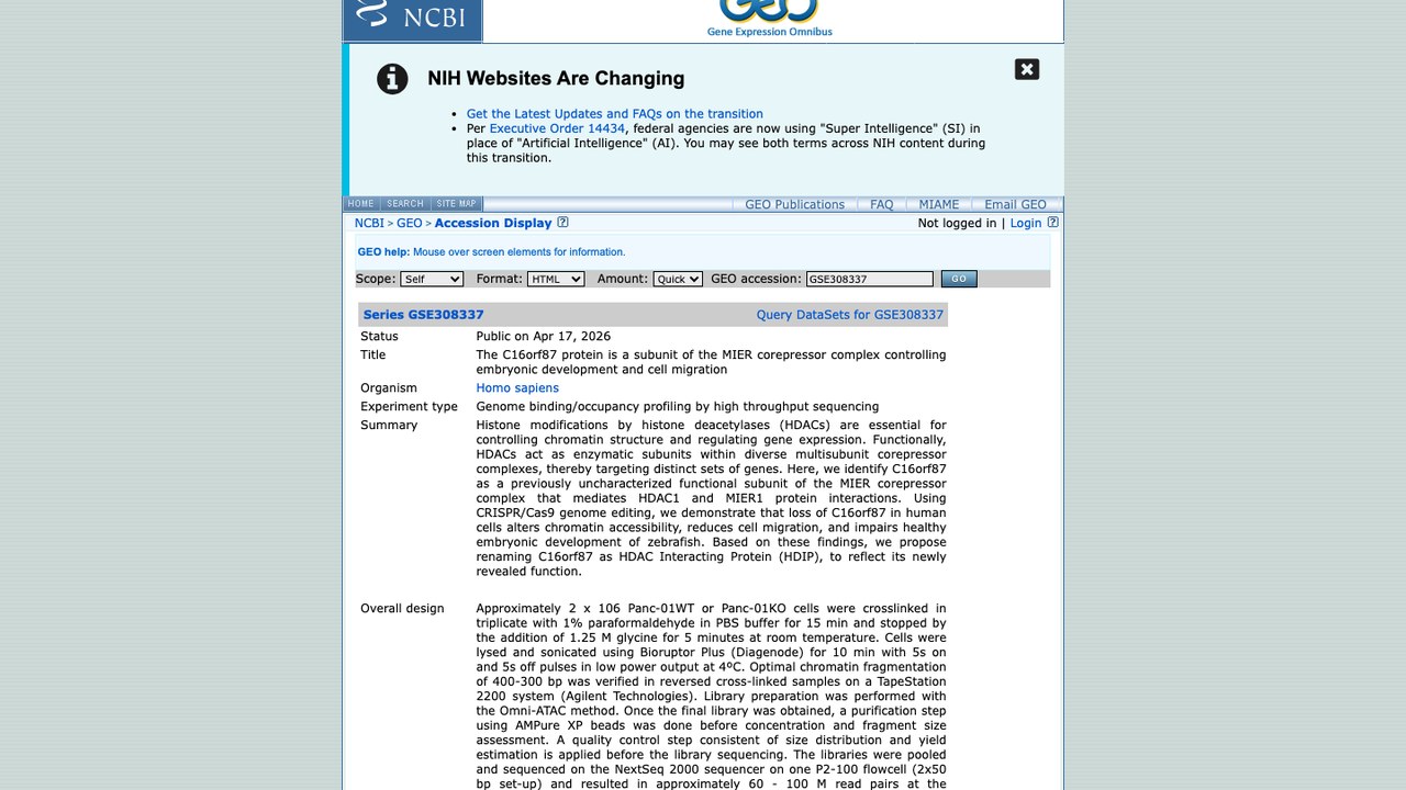 C16orf87蛋白作为MIER核心pressor复合物亚基调控胚胎发育与细胞迁移