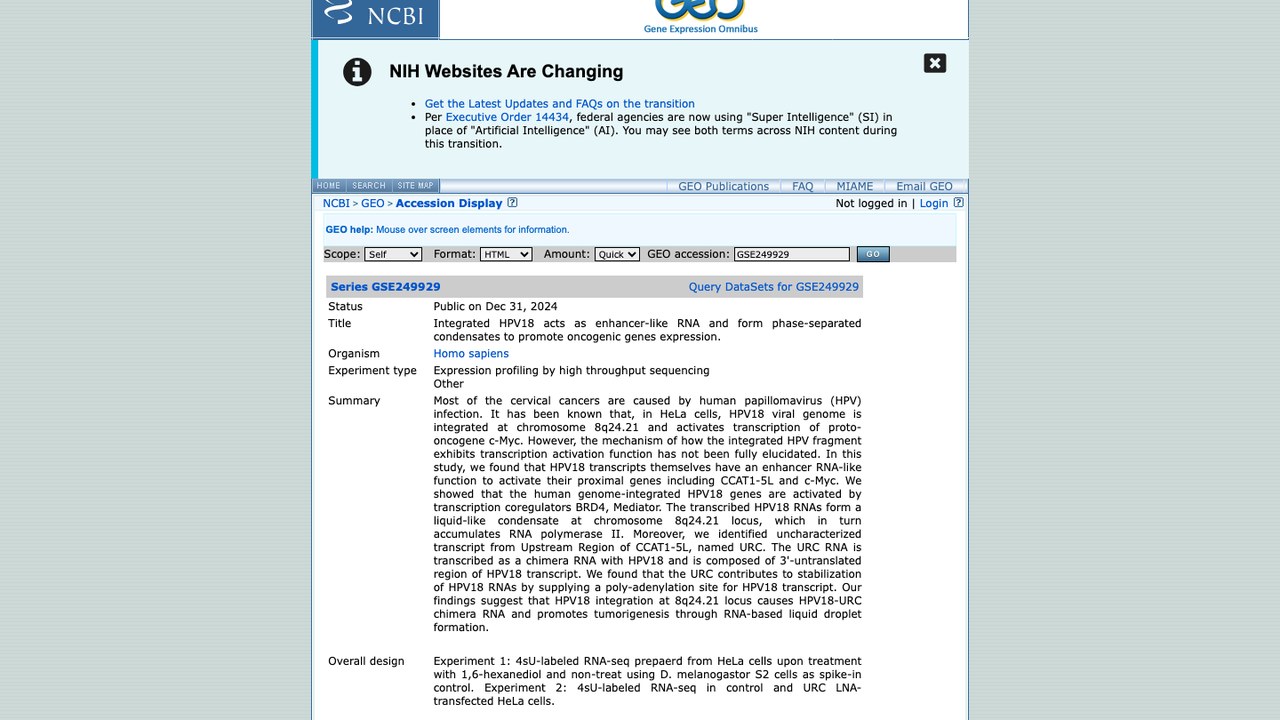 GSE249929:整合的HPV18作为类增强子RNA并形成相分离凝聚体促进致癌基因表达
