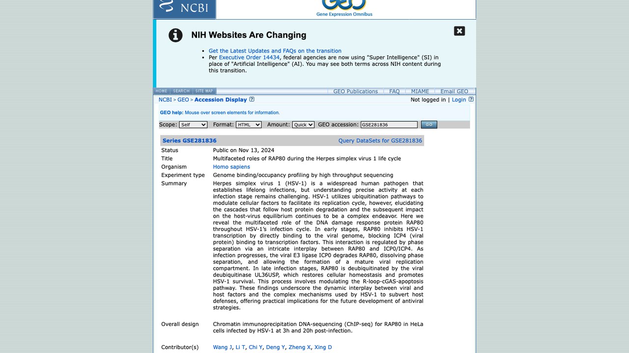 GSE281836：RAP80 在单纯疱疹病毒 1 型生命周期中的多重作用