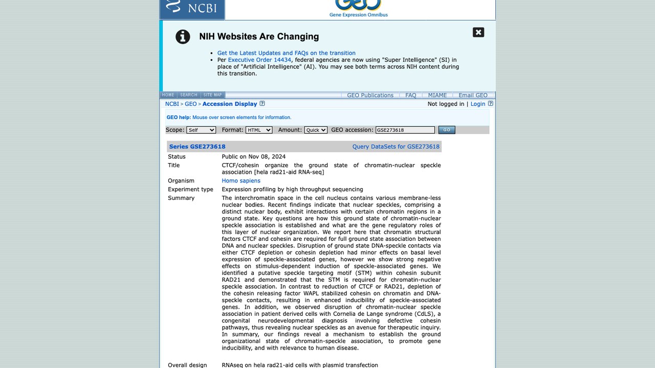 CTCF/cohesin组织染色质-核斑关联基态 [hela rad21-aid RNA-seq]