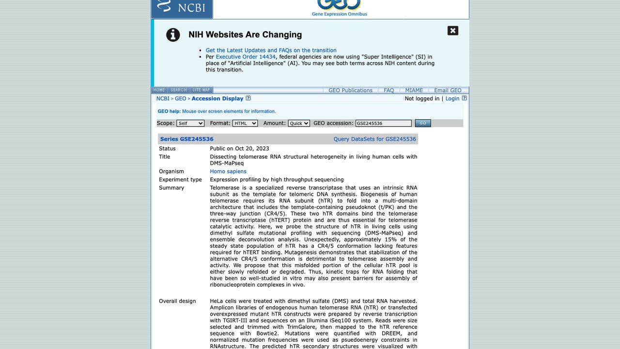 GSE245536:用DMS-MaPseq解析活人细胞中端粒酶RNA结构异质性
