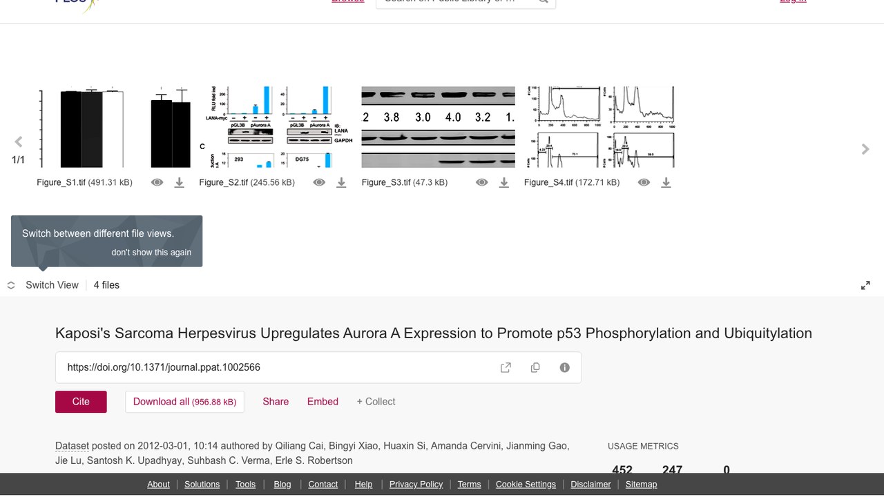 卡波西肉瘤疱疹病毒上调Aurora A表达促进p53磷酸化与泛素化