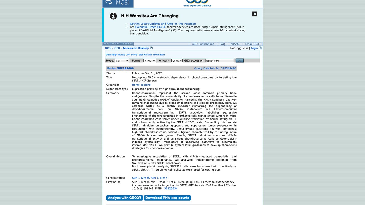 靶向SIRT1–HIF-2α轴解耦软骨肉瘤NAD+代谢依赖