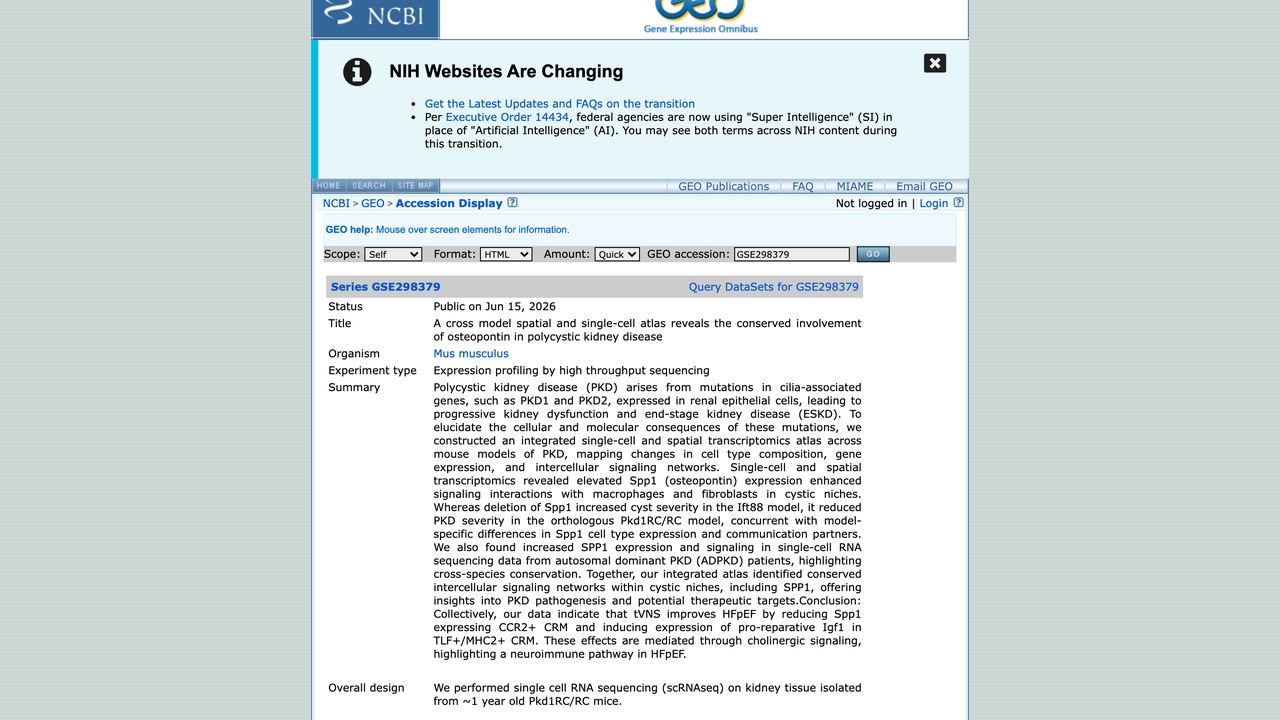 GSE298379:跨模型空间与单细胞图谱揭示骨桥蛋白在多囊肾病中的保守参与