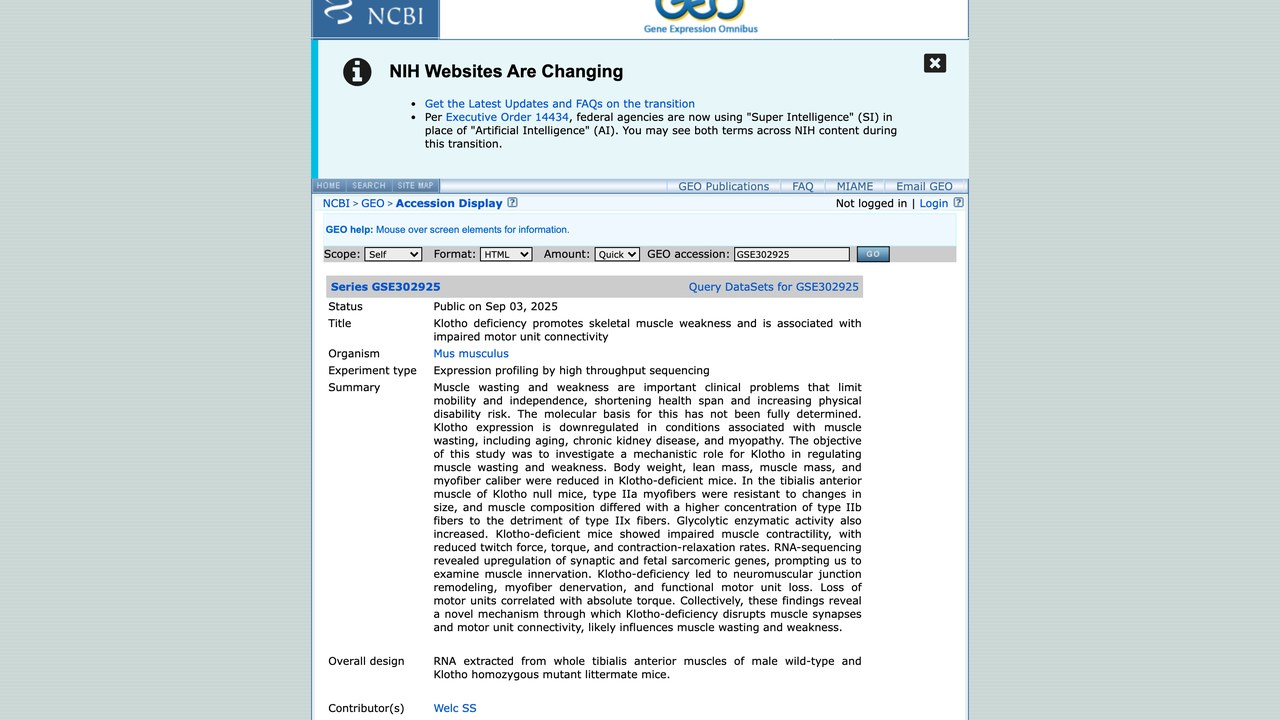 GSE302925:Klotho缺陷促进骨骼肌无力并与运动单位连接受损相关