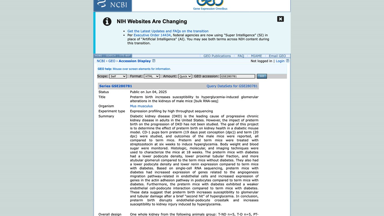 早产增加雄性小鼠肾脏对高血糖诱导肾小球改变的易感性 [bulk RNA-seq]