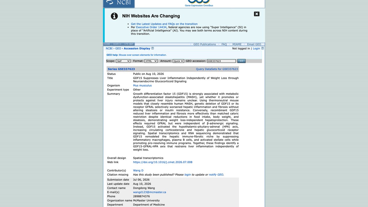 GSE337623:GDF15经神经内分泌糖皮质激素信号独立于体重减轻抑制肝脏炎症