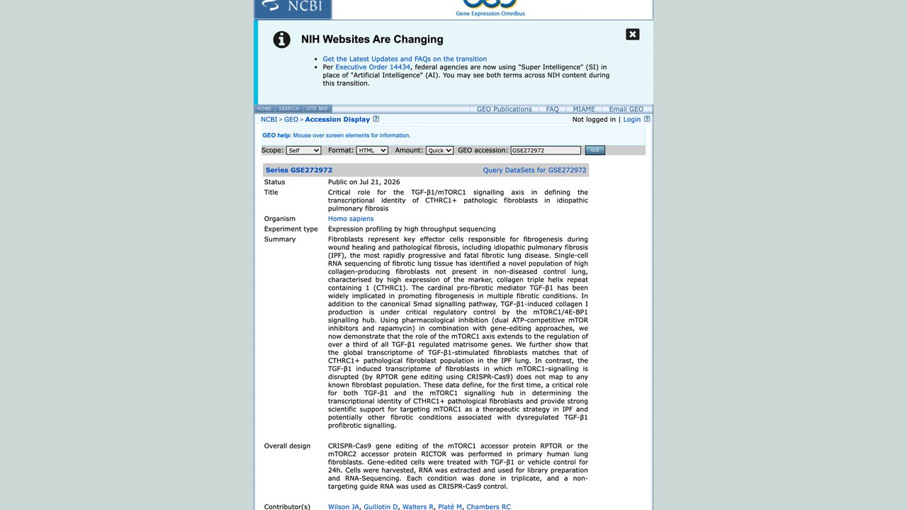 TGF-β1/mTORC1信号轴在特发性肺纤维化CTHRC1+病理性成纤维细胞转录身份中的关键作用