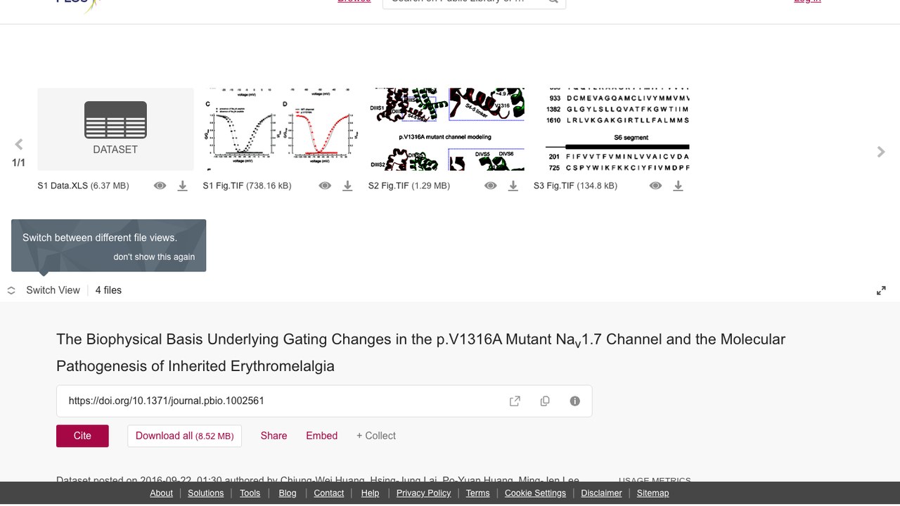 p.V1316A突变Nav1.7通道门控变化的生物物理基础与遗传性红斑肢痛症分子发病机制
