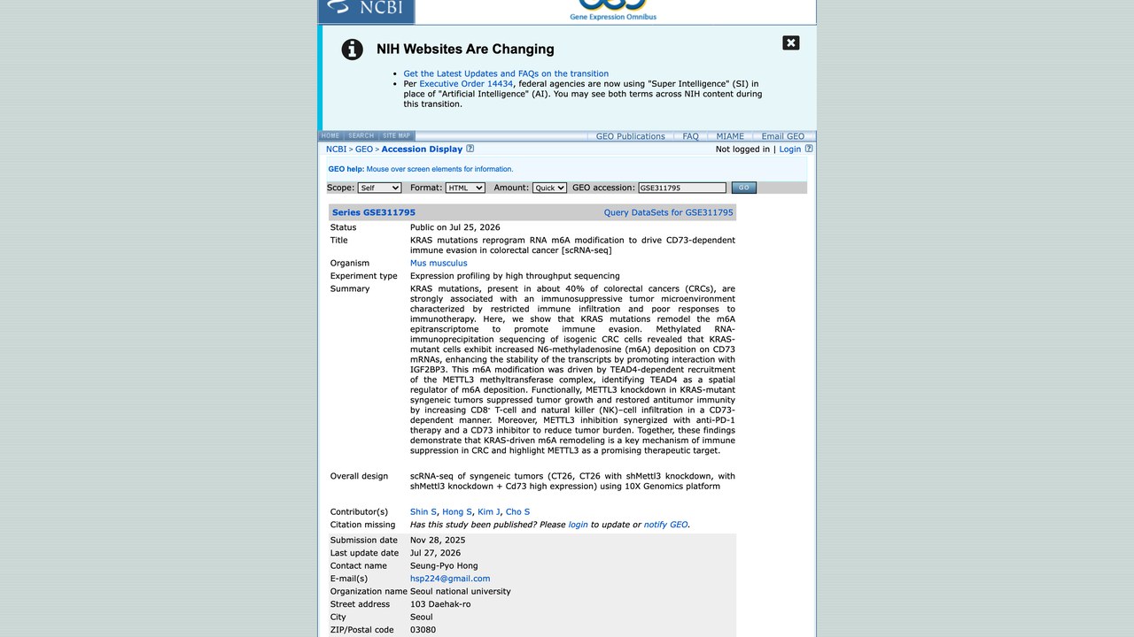 KRAS突变重编程RNA m6A修饰驱动结直肠癌CD73依赖免疫逃逸 [scRNA-seq]
