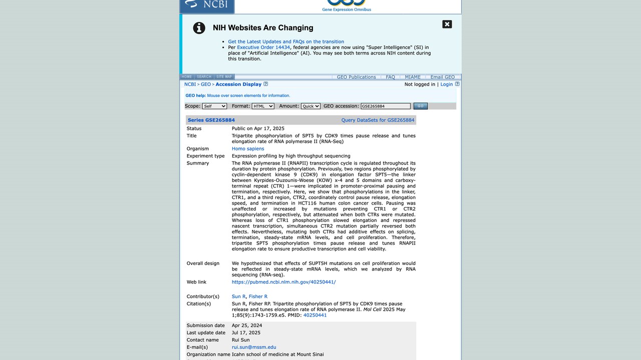 CDK9对SPT5三段磷酸化调控RNA聚合酶II暂停释放与延伸速率(RNA-Seq)