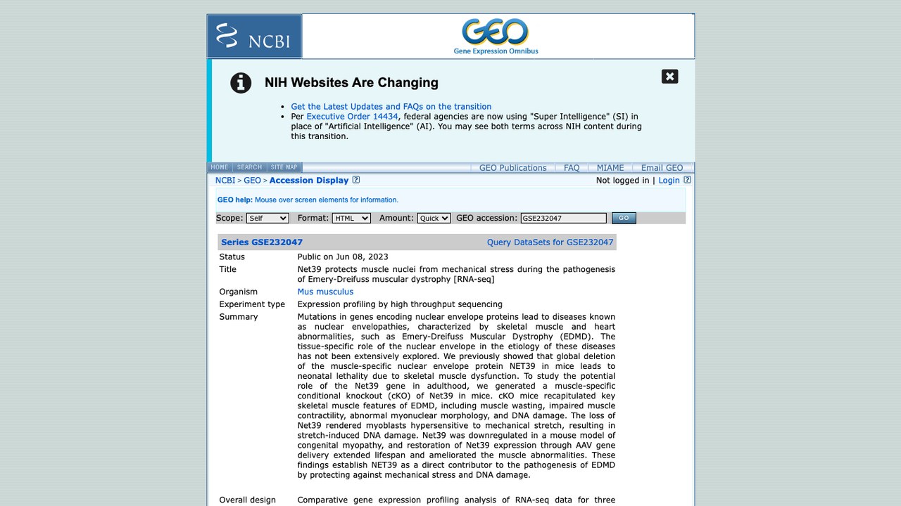 Net39保护肌细胞核免受机械应激在Emery-Dreifuss肌营养不良症发病中的作用[RNA-seq]