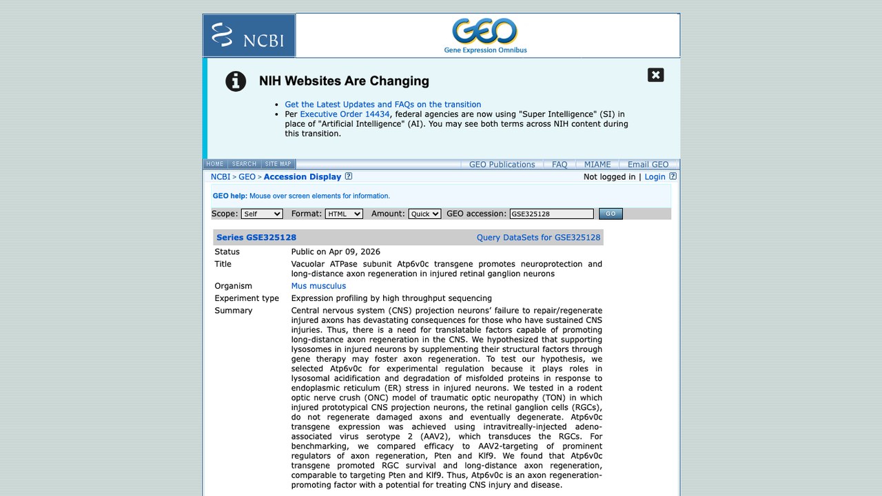 GSE325128：液泡ATP酶亚基Atp6v0c转基因促进损伤视网膜神经节神经元神经保护与长距离轴突再生