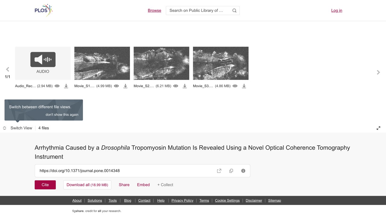 Drosophila Tropomyosin突变引发的心律失常:新型光学相干断层扫描仪揭示