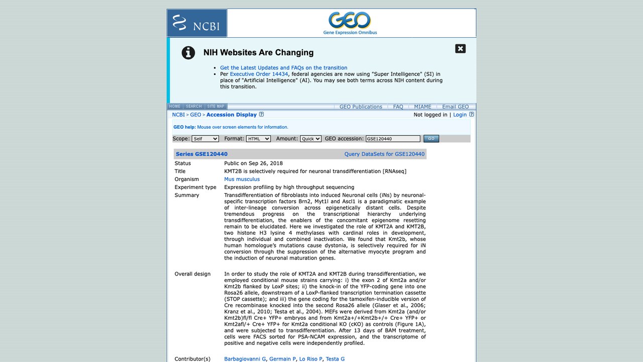 GSE120440：KMT2B 是神经元转分化所选择性必需的 [RNAseq]