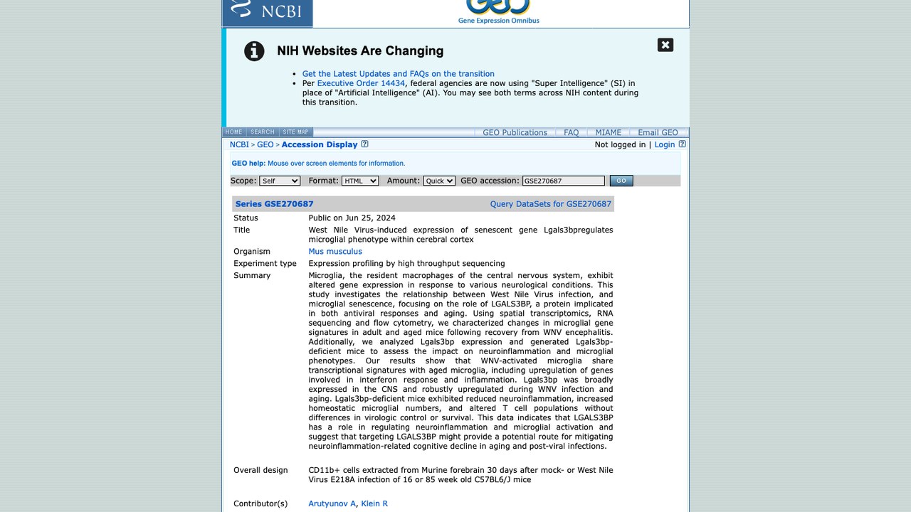 GSE270687: West Nile Virus-induced expression of senescent gene Lgals3bpregulates microglial phenotype within cerebral cortex