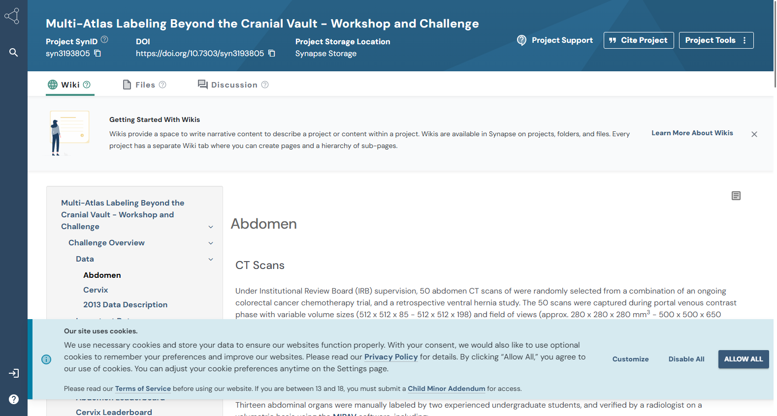 BTCV Abdomen Dataset
