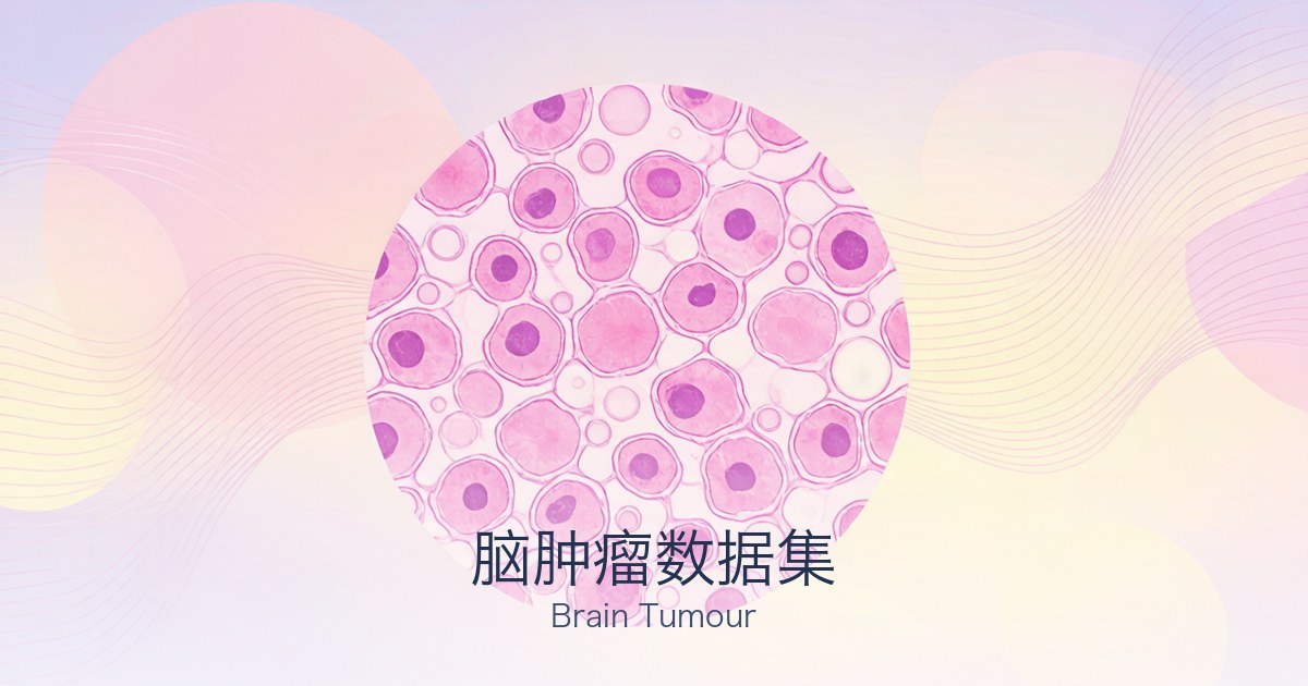 脑肿瘤数据集