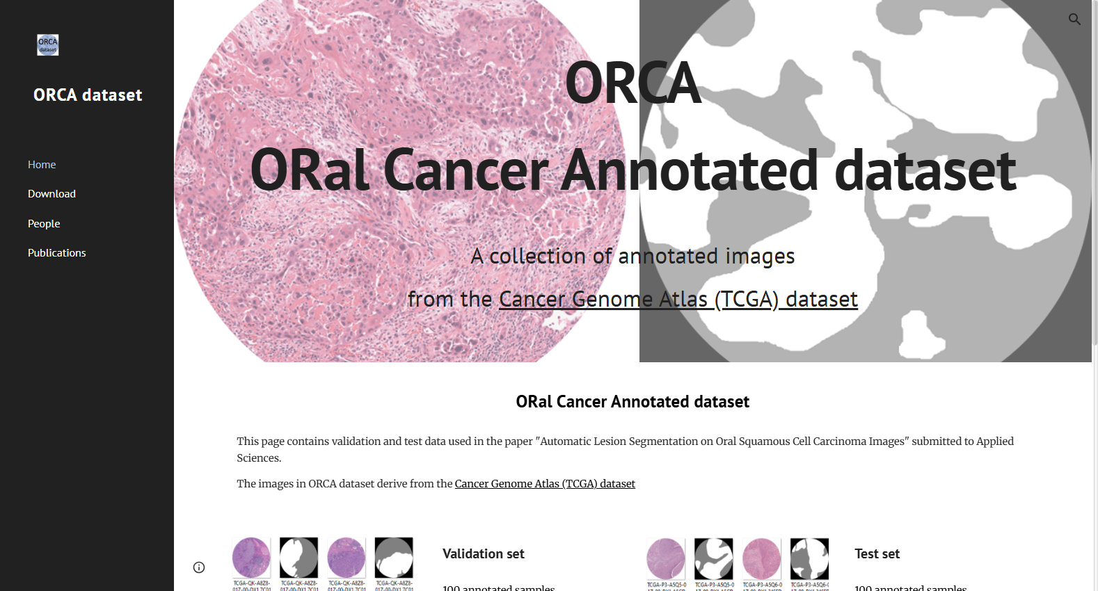ORCA: Oral Cancer Annotated Dataset