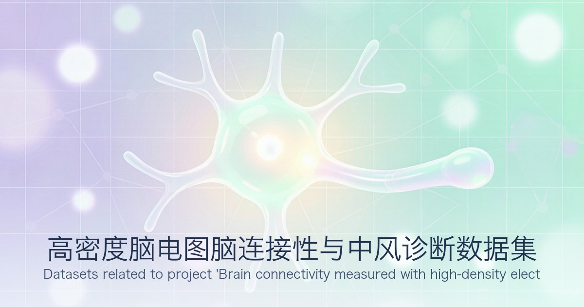 高密度脑电图脑连接性与中风诊断数据集