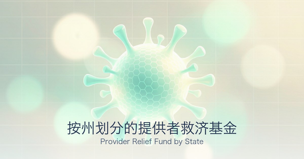 按州划分的提供者救济基金