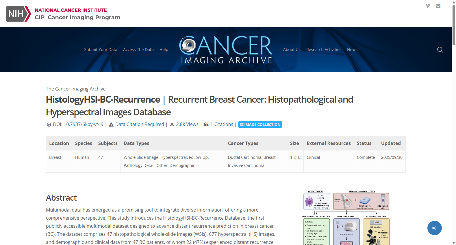 HistologyHSI-BC-Recurrence