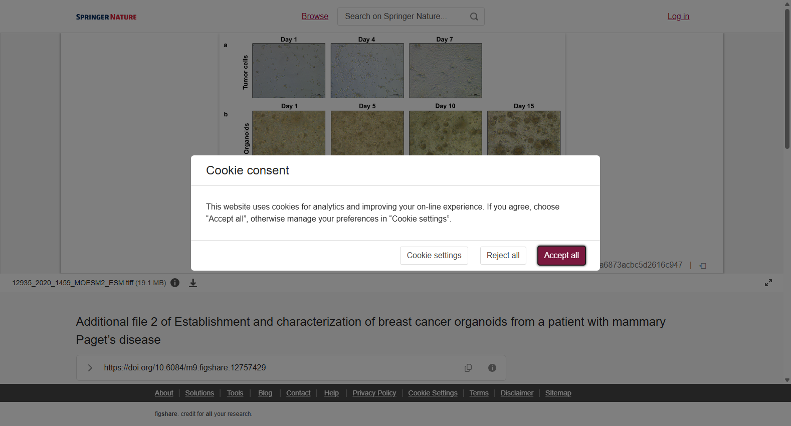 Additional file 2 of Establishment and characterization of breast cancer organoids from a patient with mammary Paget's disease