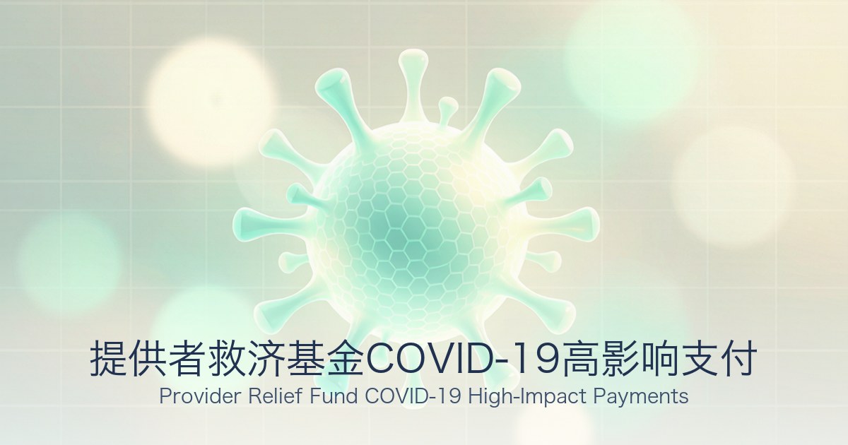 提供者救济基金COVID-19高影响支付