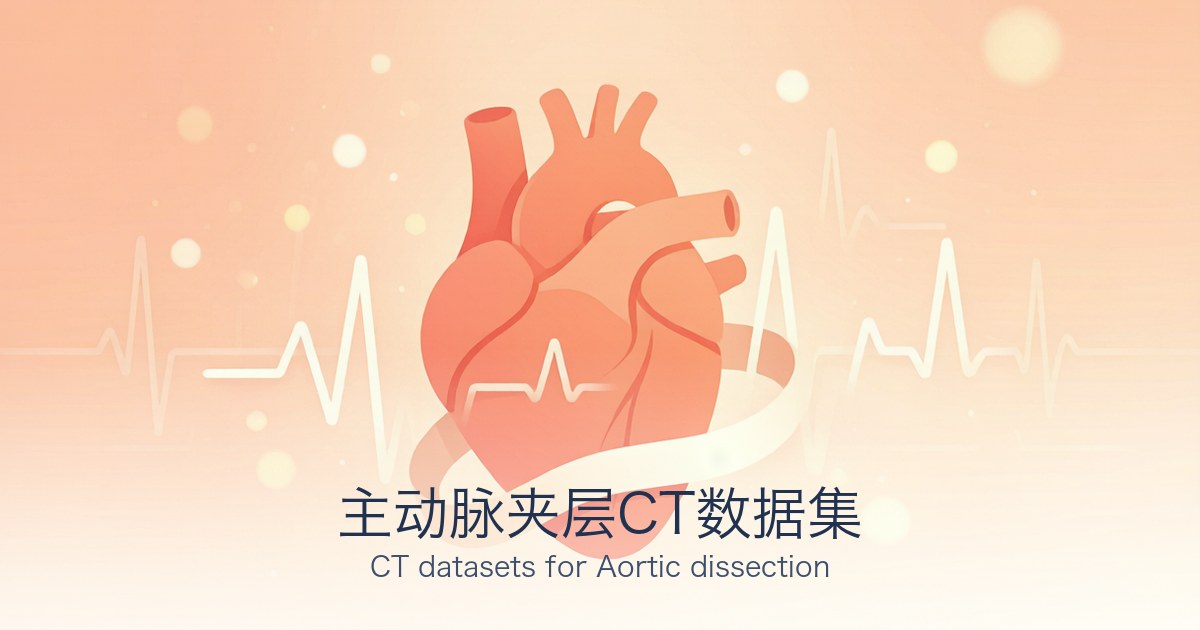 主动脉夹层CT数据集