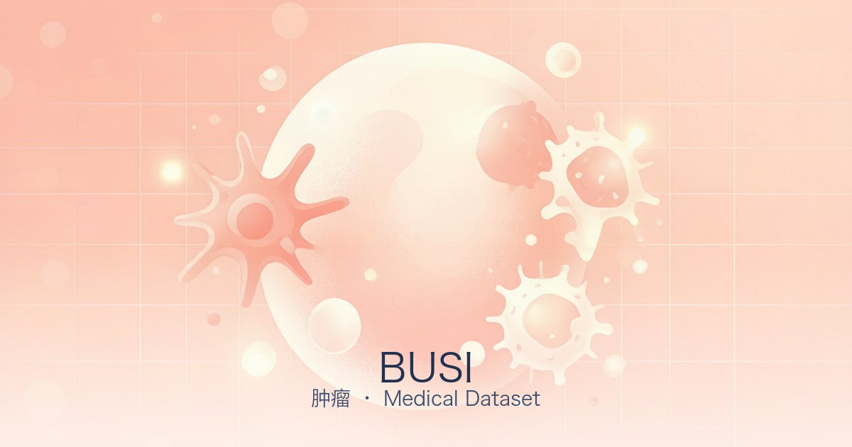 BUSI