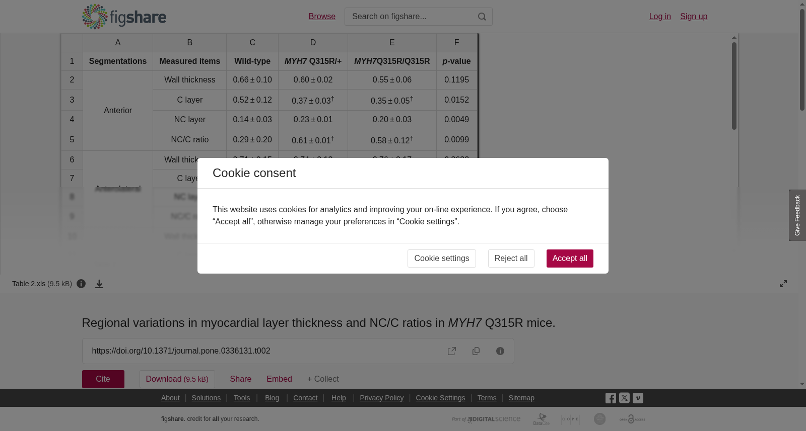 MYH7 Q315R小鼠心肌层厚度与NC/C比值的区域变化