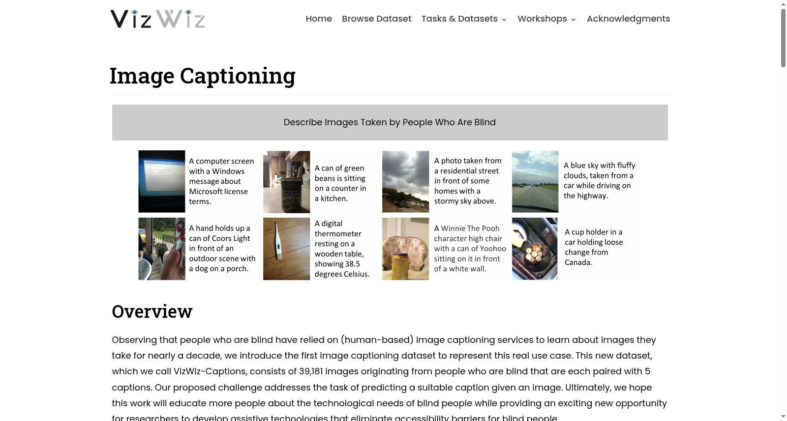 VizWiz Image Captioning