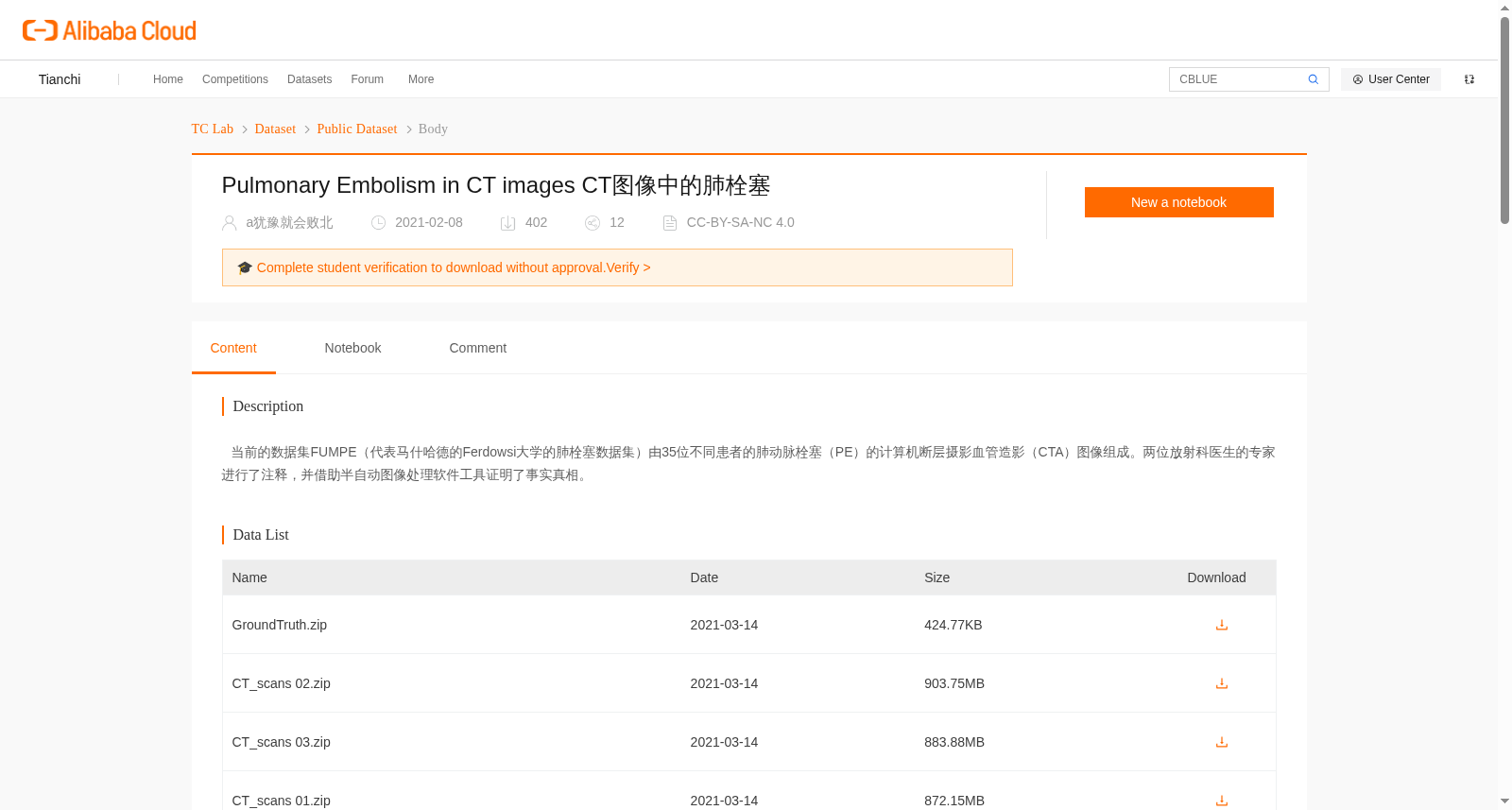 CT图像中的肺栓塞