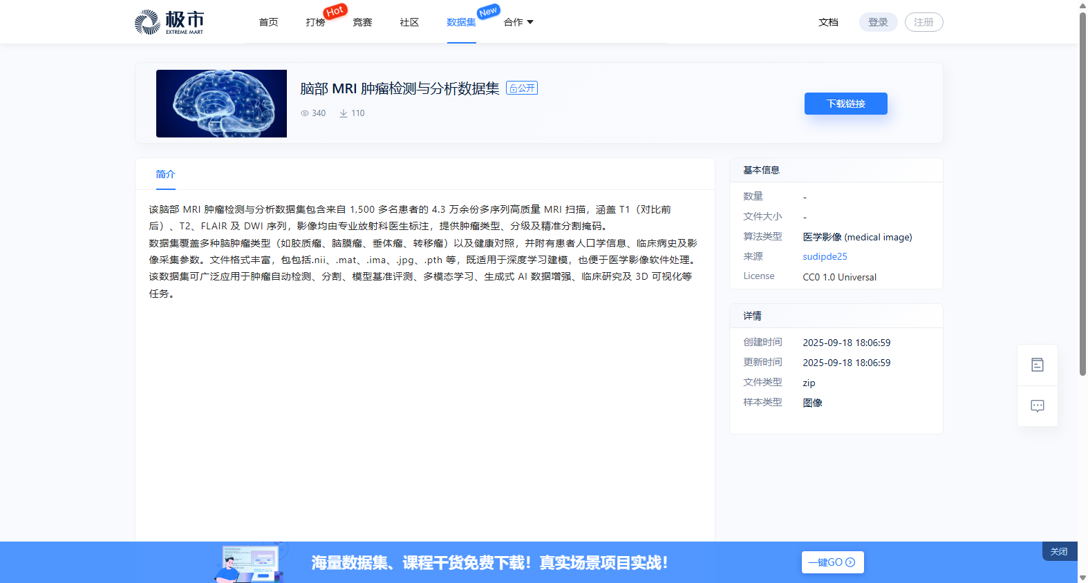 脑部 MRI 肿瘤检测与分析数据集