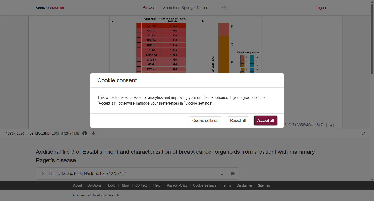 Additional file 3 of Establishment and characterization of breast cancer organoids from a patient with mammary Paget's disease