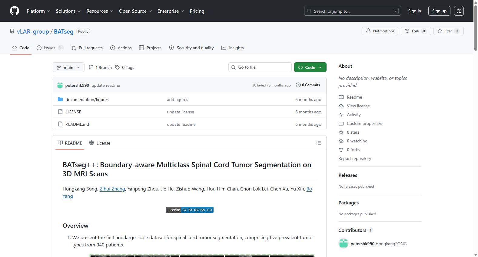 BATseg Spinal Cord Tumor Dataset