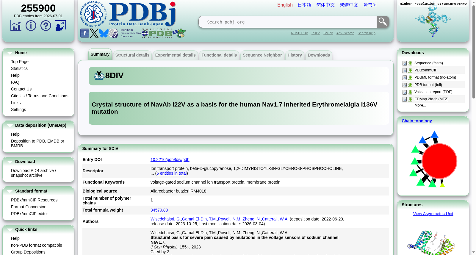 NavAb I22V晶体结构作为人类Nav1.7遗传性红斑性肢痛症I136V突变的基础