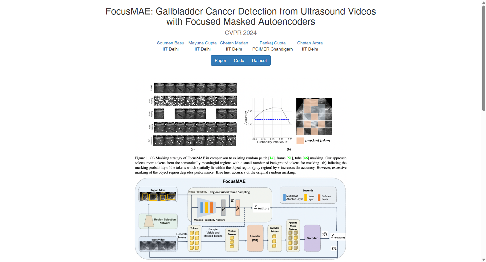 FocusMAE GBC Ultrasound Video Dataset