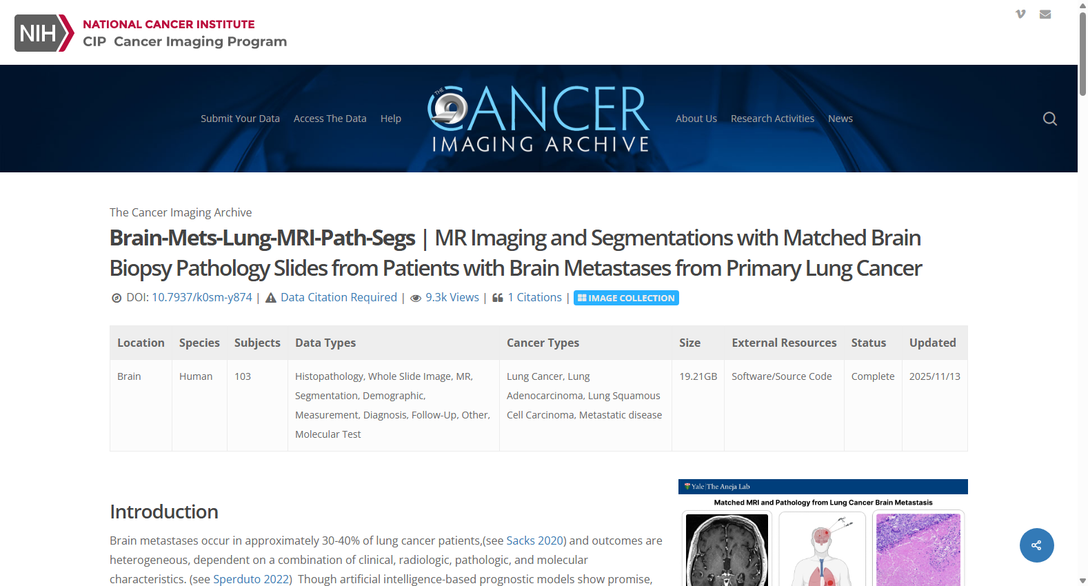 Brain-Mets-Lung-MRI-Path-Segs